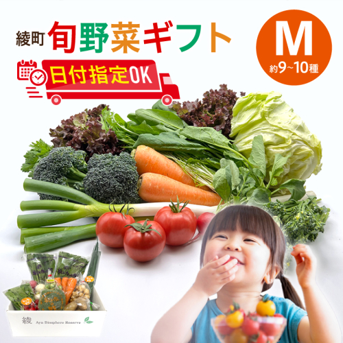 綾町旬野菜ギフト（Mサイズ/約9-10種 ）2～3人分