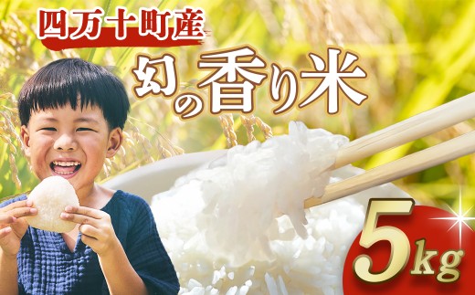 四万十育ち！冷めても香る幻の米『香り米』　5kg　米 こめ コメ 農家 おむすび お米 おこめ 十和錦 お弁当 贈答品 香り米／Fnp-01