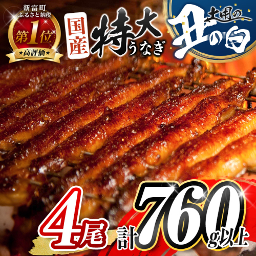 ［丑の日までにお届け!! ］特大 うなぎ 鰻楽 国産 蒲焼 4尾 人気 無頭 計760g以上 高評価 おすすめ 冷凍 簡単調理 個包装 鰻 魚介 贈答品 ギフト 贈り物【C388-760-USHI_01】