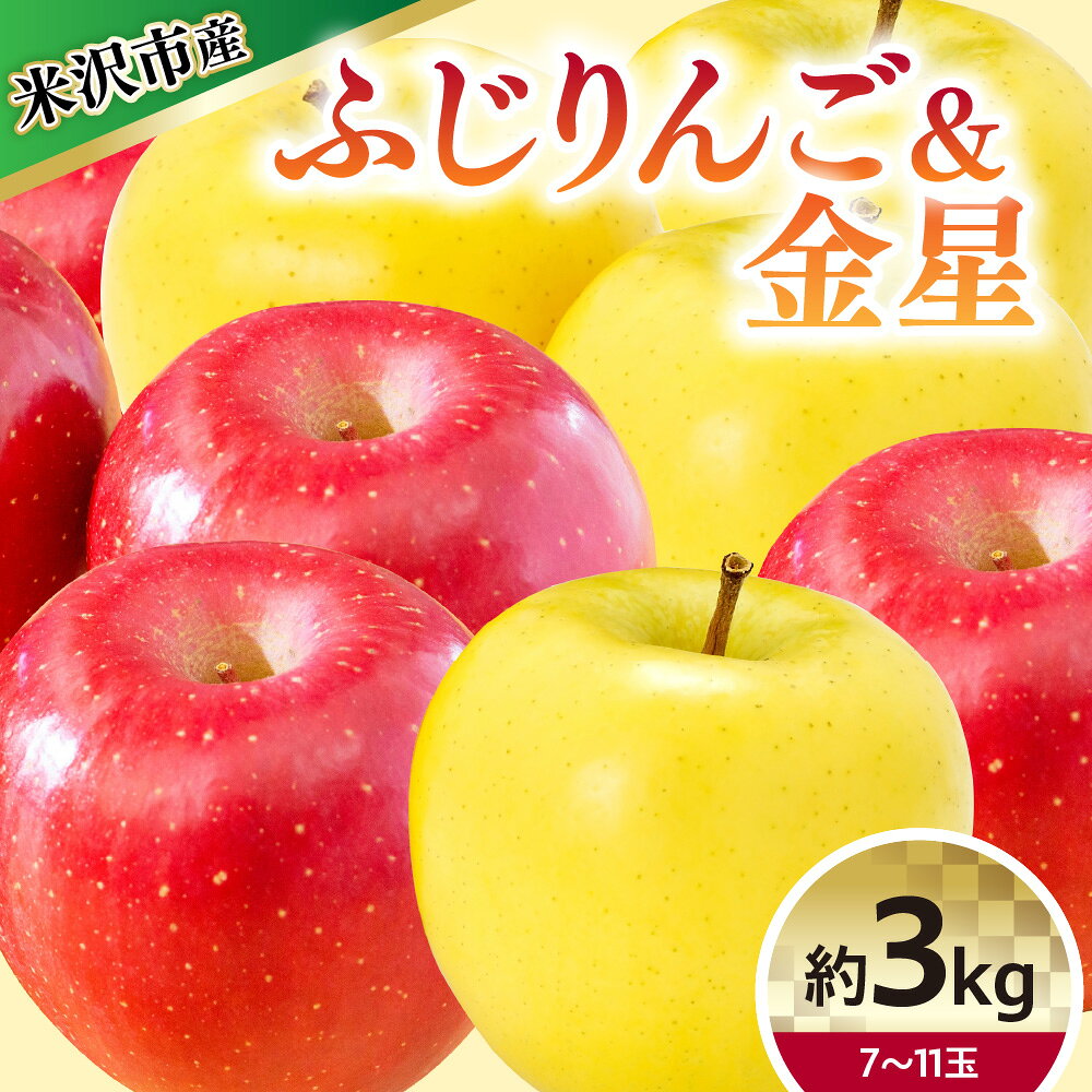 【ふるさと納税】【令和8年産】りんご 2種 詰め合わせ (ふじ 金星) 計 約3kg【12月上旬～お届け】2026年産 リンゴ 林檎 2種類 詰合せ セット ふじ 5～8玉 金星 2～3玉 産地直送 直送 農家直送 フルーツ 山形県 米沢市