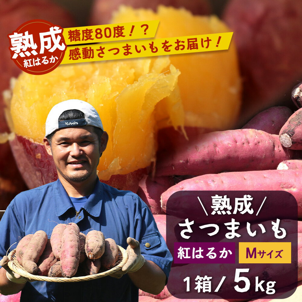 【ふるさと納税】【鹿児島県産】熟成 紅はるか 5kg (1箱 ) Mサイズ さつまいも【2025年11月下旬より順次発送】FR-314