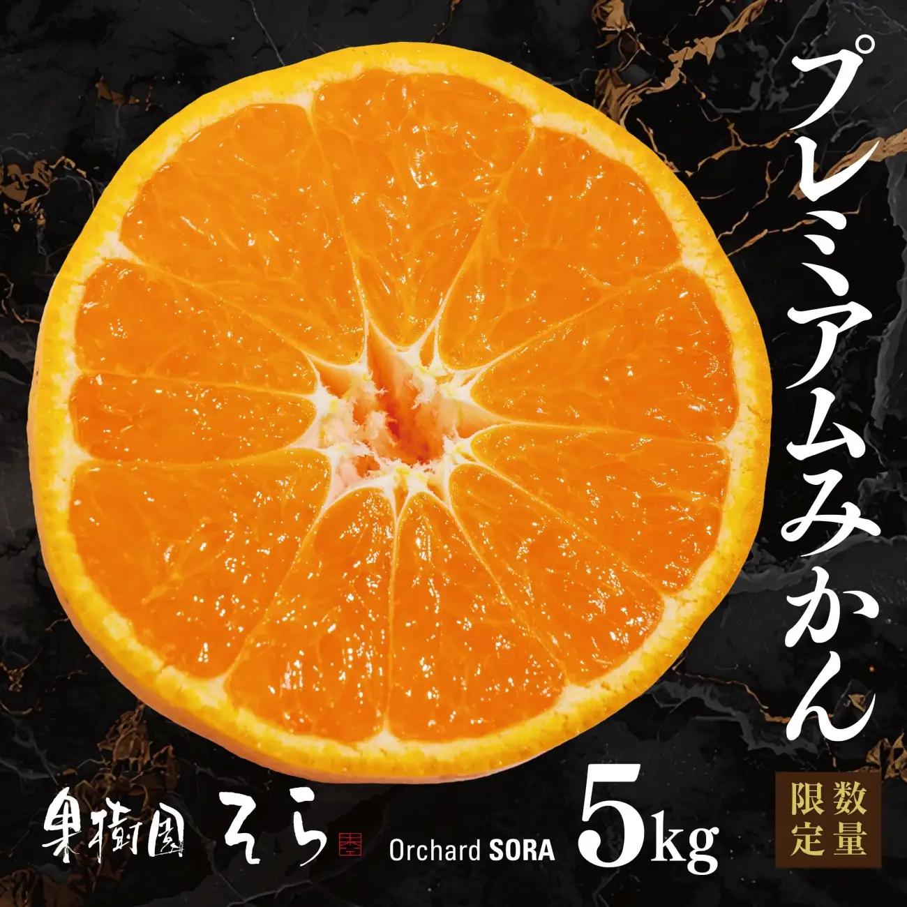 【先行受付】天空の果樹園から届く そらみかんプレミアムシリーズ (5kg)【95-22】YWTAQ022