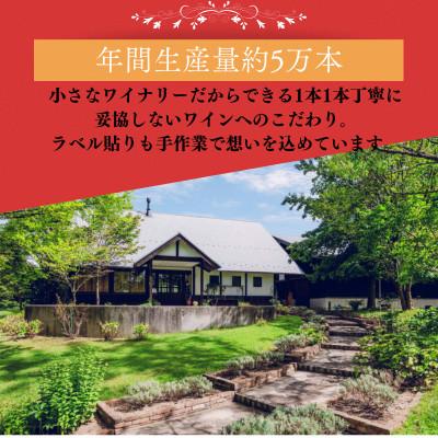 ふるさと納税 雲南市 杜のワイン赤 750ml×4本 辛口ワイン 赤ワイン4本セット |  | 03