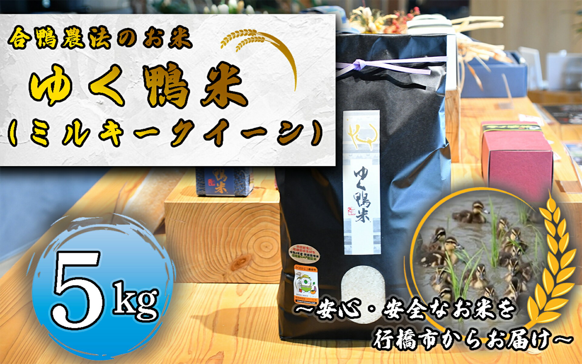 【ふるさと納税】合鴨農法のお米「ゆく鴨米」（ミルキークイーン）5kg～安心・安全なお米を行橋市からお届け_CB-006