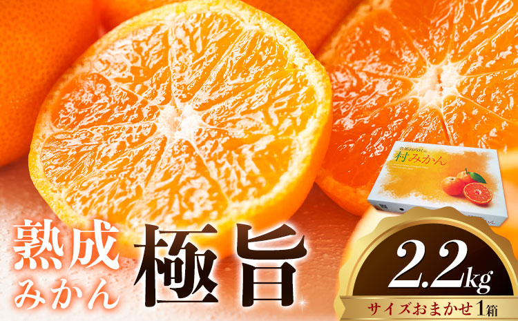 ＜先行予約＞ 熟成みかん『極旨』1箱 廣畠農園《2月初旬-2月末頃出荷予定》徳島県 佐那河内村 みかん ミカン 蜜柑 柑橘 箱入り 化粧箱 フルーツ 果物 くだもの 贈答 【配送不可地域あり】※離島-