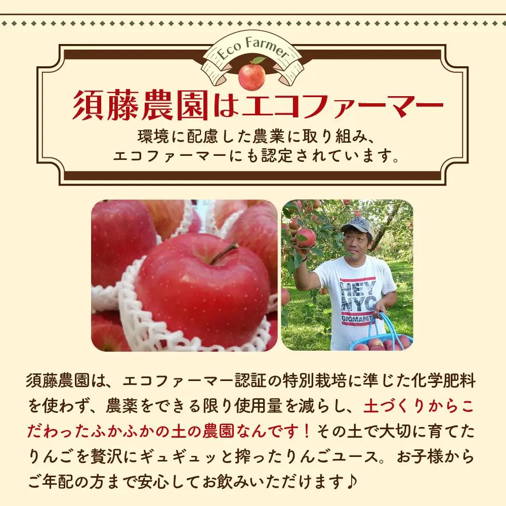 りんごジュース １L×3本 りんご5種ブレンド農家のこだわり100％ストレート森の雫 