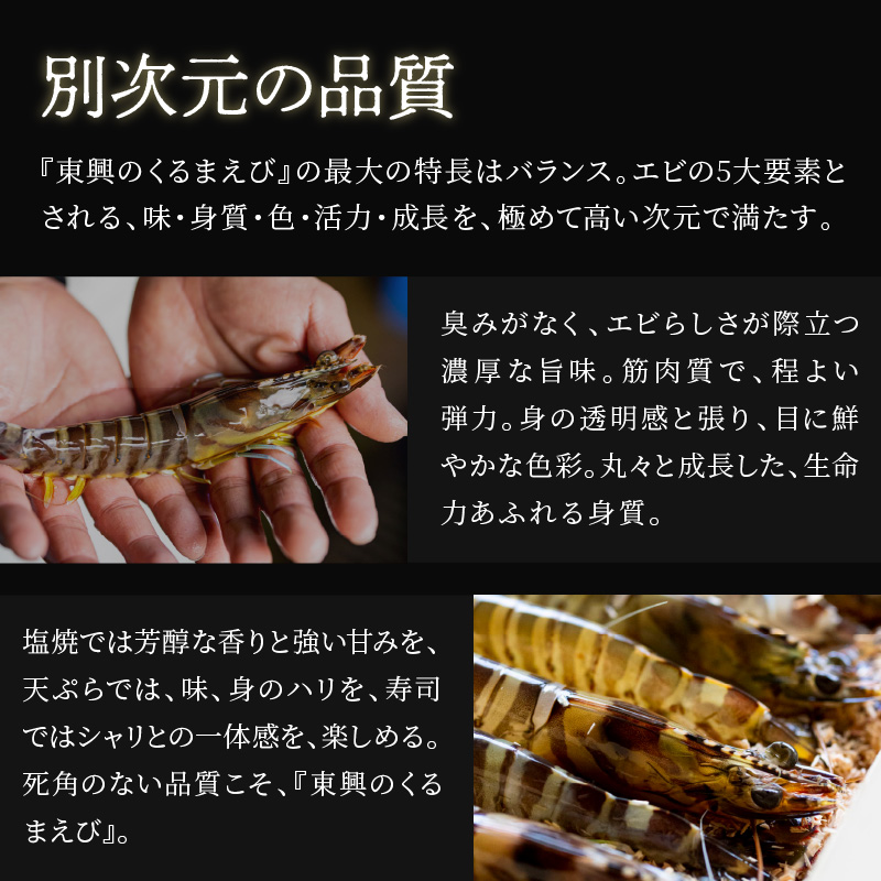 【宅配BOX不可】東興のくるまえび400g入【11月下旬～12月発送】( くるまえび 東興のくるまえび 車海老 海老 エビ )【116-0001-12M】