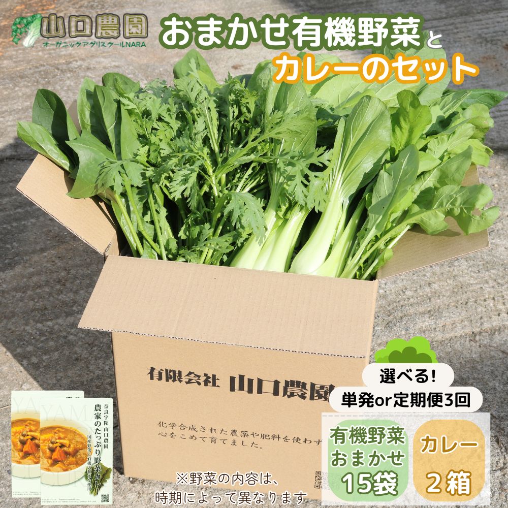 【ふるさと納税】（チルド）山口農園　有機野菜　おまかせセット ＋ カレー2箱 / 山口農園 有機野菜 伝統野菜 オーガニック ベジタリアン 定期便 カレー 無農薬 野菜セット 送料無料 農家直送 ふるさと納税 詰め合わせ 奈良県 宇陀市