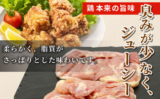 愛知県産 銘柄鶏 奥三河どり 半羽 小分け 約 0.9ｋｇ 鶏肉セット 国産 冷凍 生 生鶏 チキン クリスマス パーティー バーベキュー BBQ アウトドア キャンプ ダッチオーブン チキン 鶏肉 