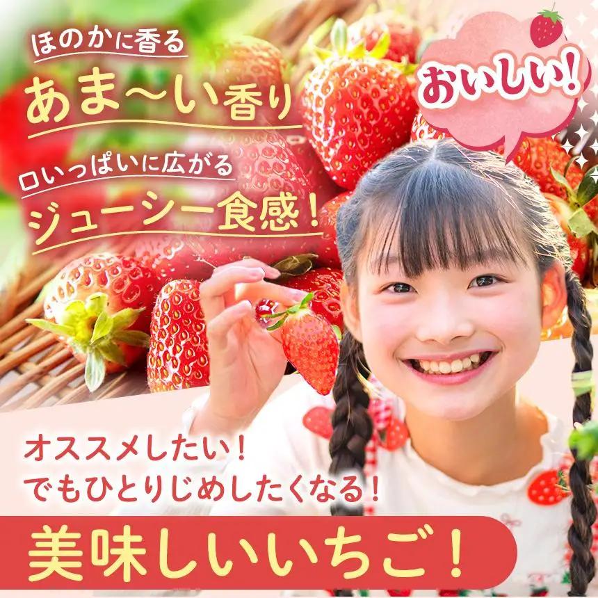  【2027年先行予約】〔定期便2回〕鮮度抜群 いちご とちあいか 290g×8P【栃木県共通返礼品 真岡市産】 栃木県矢板市