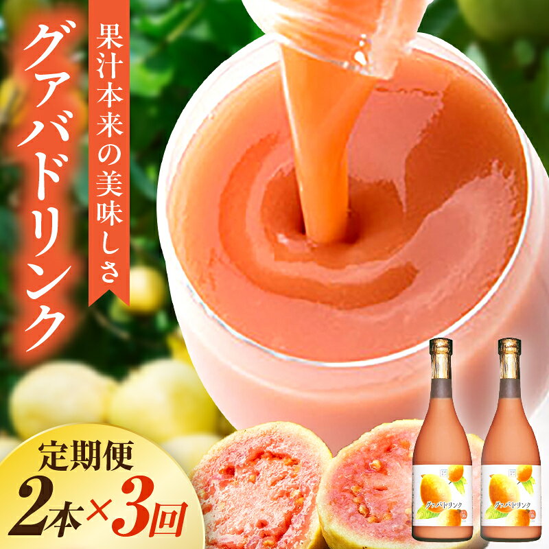 【ふるさと納税】【定期便・全3回】まるで果実を食べているような！グァバドリンク2本セット(各720ml)×3回 ドリンク フルーツドリンク 果汁入り飲料 トロピカルジュース セット 詰め合わせ 贈答 贈り物 ギフト プレゼント お中元 お歳暮 宮崎県 串間市 送料無料