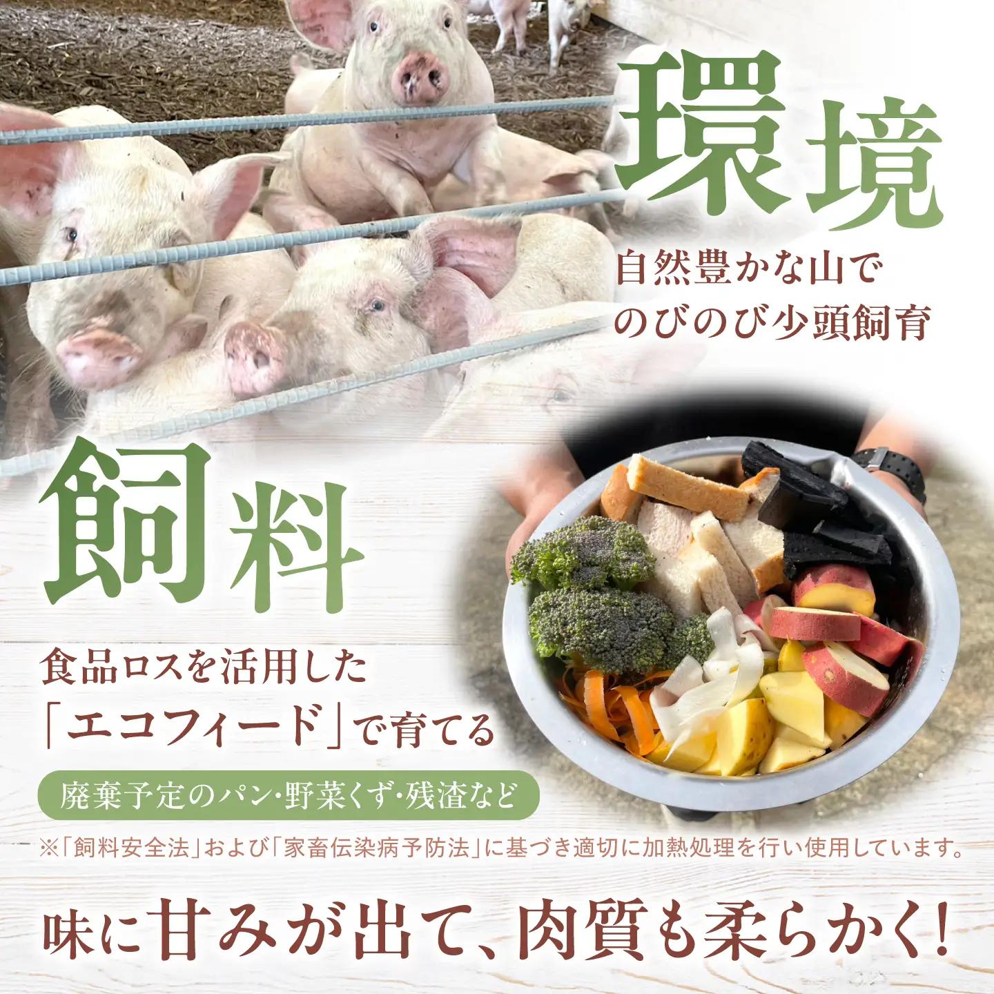 12回定期便 豚 ミンチ1kg [CFA056] ミンチ 豚肉 ハンバーグ