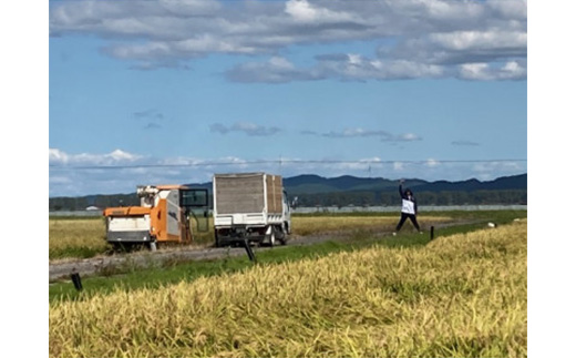 令和6年産　特別栽培米あきたこまち(白米)5kg【配送不可地域：離島・沖縄県】