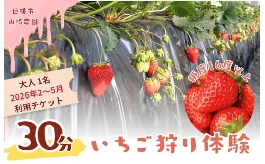 
                  山崎農園いちご狩り　1名分チケット ／ いちご 苺 イチゴ ストロベリー いちご狩り イチゴ狩り 苺狩り フルーツ狩り 体験 チケット とちおとめ 紅ほっぺ 果物 フルーツ
                
