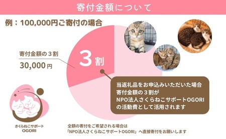 保護猫活動を応援！返礼品無し 100,000円 (お礼状送付) 保護猫