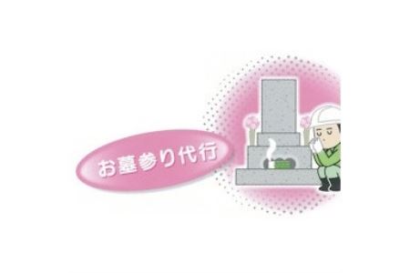 お墓 清掃 代行 高圧洗浄機 使用 メンテナンス 1回 雑草 除去 除草 草むしり 献香 献花 お花