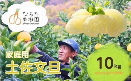 成田果樹園 の 土佐文旦 10kg 家庭用 文旦 ぶんたん [1687]