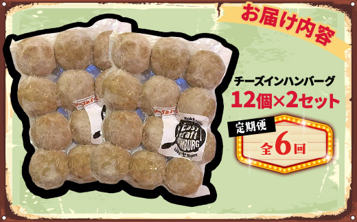 【毎月定期便】チーズ in ハンバーグ　生(12個入) 2セット全6回【配送不可地域：離島】【4080186】