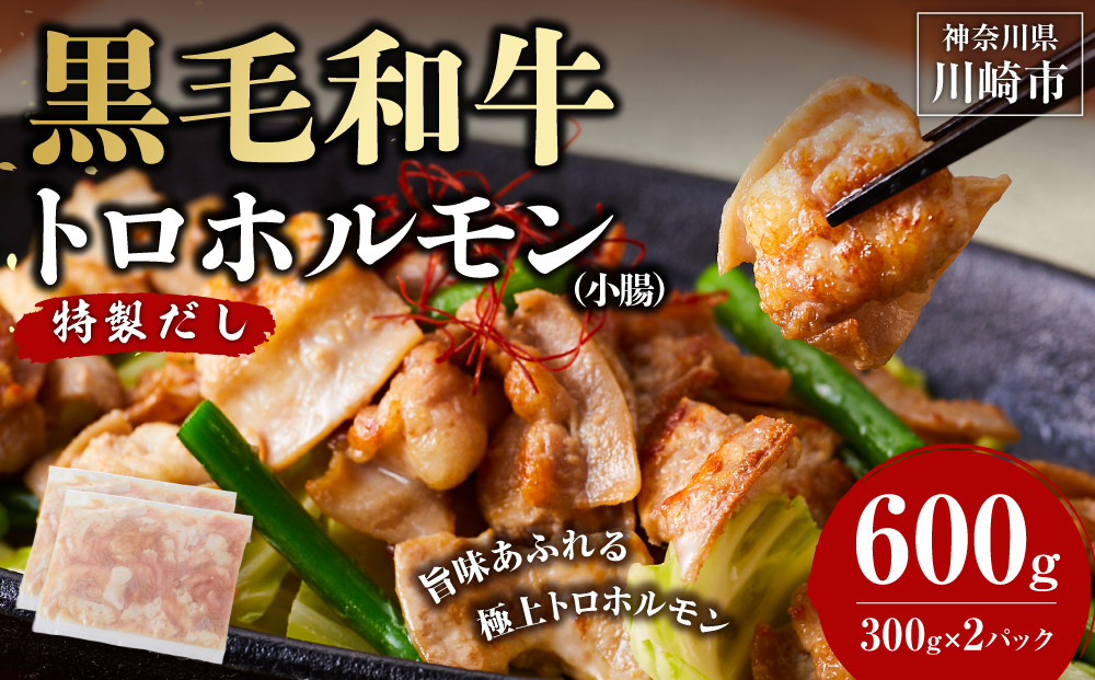 黒毛和牛トロホルモン（小腸）　特製だし0.6kg ( 300g ×2パック )【順次発送】 141305_KZ59