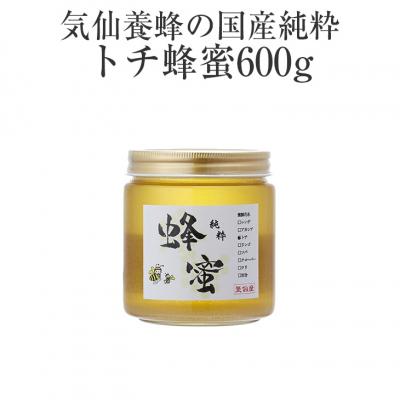 ふるさと納税 陸前高田市 気仙養蜂の国産純粋蜂蜜〈トチ〉600g 瓶入り