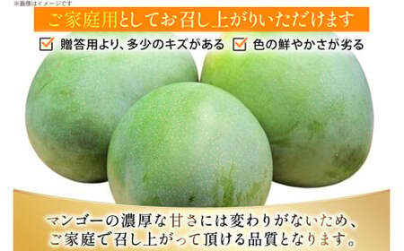 マンゴー 家庭用 キーツ マンゴー 約 2kg (2〜3玉) 【期間限定発送】 [伊江村マンゴー部会 沖縄県 伊江村 ie47bde320000] 