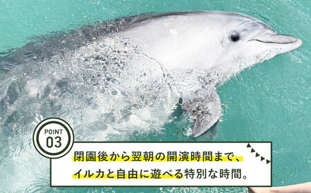 イルカと泊まるドルフィングランピング《壱岐市》【壱岐イルカパーク＆リゾート】[JBF041] 宿泊 アクティビティ 