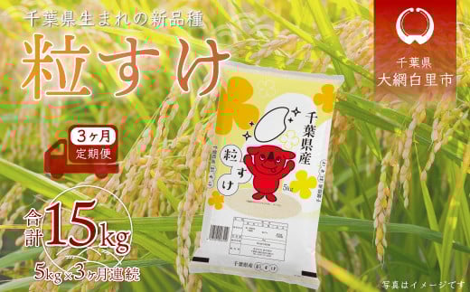 【2025年10月より発送開始】＜3ヶ月定期便＞ 令和7年産 千葉県産「粒すけ」5kg×3ヶ月連続 計15kg ふるさと納税 米 定期便 5kg 粒すけ 千葉県 大網白里市 送料無料 A029