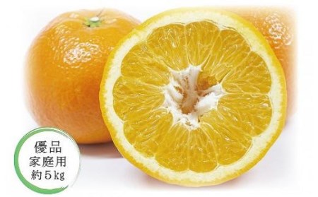 【2027年1月中旬頃から順次発送】いよかん＜優品・家庭用＞約5kg （ 愛媛産 愛媛県産 国産 愛媛みかん 愛媛蜜柑 愛媛ミカン みかん ミカン mikan 蜜柑 柑橘 フルーツ 果物 くだもの お
