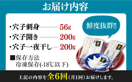 【全6回定期便】対馬産 活〆 穴子 ３点 セット A【THE・対馬株式会社】《対馬市》新鮮 あなご 刺身 天ぷら 海鮮 肉厚 簡単調理 一人前[WAS007]