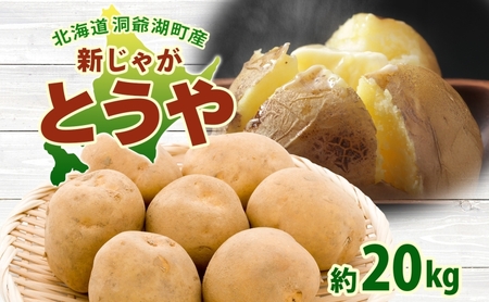 北海道 洞爺湖町産 新じゃがいも とうや 約20kg  Mサイズ以上混載 北海道産 新じゃが じゃがいも いも ジャガイモ 馬鈴薯 黄爵 芋 旬 野菜 農作物 送料無料 産地直送 常温 洞爺湖町