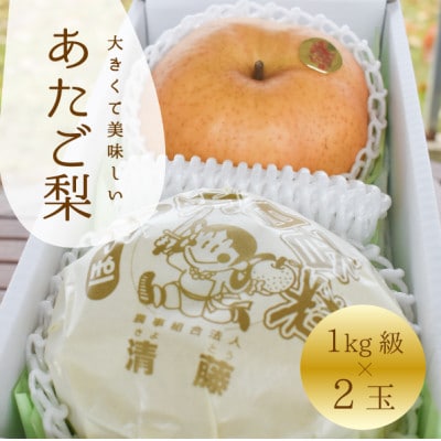 【きよとうファーム】あたご梨 上級品 2玉入(1kg級/玉)(岡山県産)【1559830】