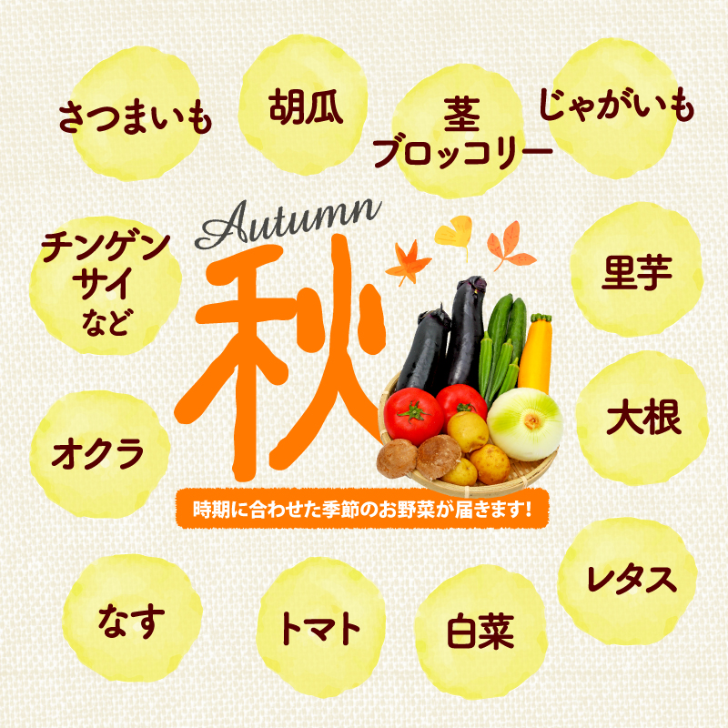 【全3回定期便】 野菜 詰め合わせ おまかせ 野菜詰合せ （6～8種） 詰合せ 6～8種 おまかせ 旬 まんさいかん ボックス 静岡県 藤枝市 ( 人気野菜 ふるさと納税野菜 ふるさと野菜 furus