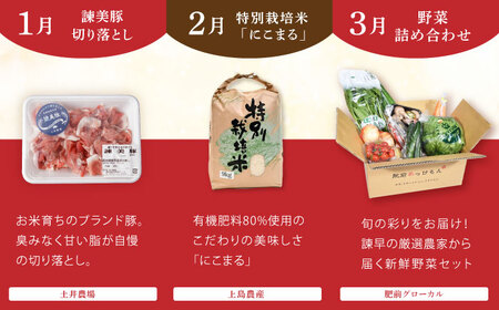 【12回定期便】バラエティ定期便 諫早市人気返礼品オールスター / 豚肉 米 野菜 ローストビーフ スイーツ うなぎ ゼリー カステラ 卵 餃子 みかん ステーキ / 諫早市[AHDC041]