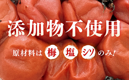 【へしこの町】福井 梅干し 300g × 3個 ＆ 美浜産 へしこ × 1本 Bセット【鯖 サバ さば 福井 美浜 若狭 名産 郷土料理 糠漬け 糠漬け 発酵 コシヒカリ つまみ 酒の肴 珍味 伝統 