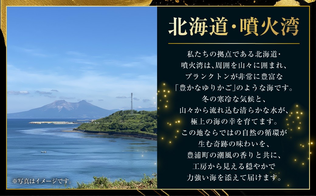 漁師の手作り！ 甘塩鮭 切り身 約2.5kg （2～3切れ入×8パック）甘塩仕上げ 小分け