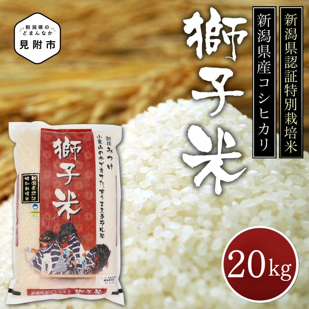 
            米 20kg 新潟県産 コシヒカリ 特別栽培米 令和6年産 「獅子米」 精米したてをお届け 新潟のど真ん中見附市 こしひかり 県認証米
          