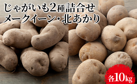 先行予約 じゃがいも2種 メークイン・北あかり各10kg