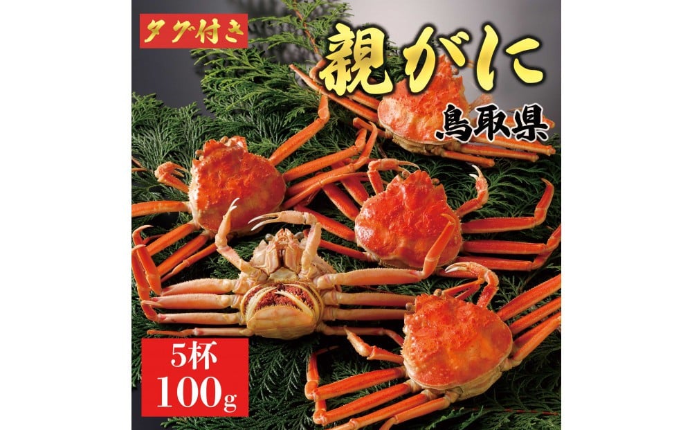 
            1065.【2025年11月発送】鳥取県産 特撰 親がに 姿【セコガニ】（茹）100g 5杯
          
