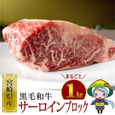 宮崎県産黒毛和牛サーロインブロック約1kg