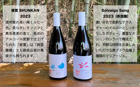 【鹿之助萬蔵】彫刻家がつくる赤ワイン２種飲み比べ（２本）｜メルロー、シラー、ピノ・ノアール