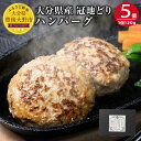 【ふるさと納税】冠地どりハンバーグ 120g×5個 5食 合計600g 大分県産 九州産 国産 冠地どり 地鶏 地どり 鶏肉 お肉 おうちごはん おかず 惣菜 個包装 冷凍 送料無料