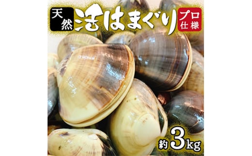 
天然 はまぐり 約3kg ( 千葉県産 ) _ 蛤 ハマグリ 魚貝 魚介 海鮮 貝 出汁 だし プロ仕様 人気 送料無料 【1306039】
