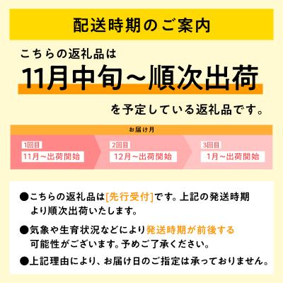 ふるさと納税 平川市 【令和7年産  配送時期:2025年11月中旬〜】3ヶ月定期便特別栽培米 はれわたり白米5kg |  | 02