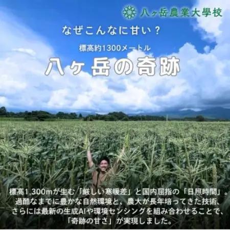 【数量限定!訳あり】フルーツのような甘さ『皮付き』生とうもろこし10本【2026年先行予約】【配送不可地域：離島】【1738515】