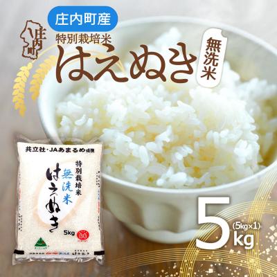 ふるさと納税 庄内町 庄内町産 特別栽培米はえぬき無洗米 5kg 令和7年産 2025年産 ブランド米
