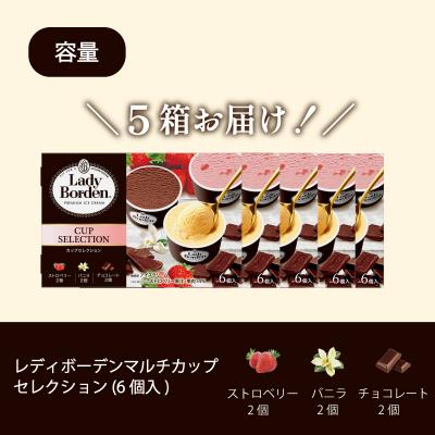 ふるさと納税 松前町 ロッテ レディーボーデン マルチカップセレクション 【MNM0022】 |  | 02