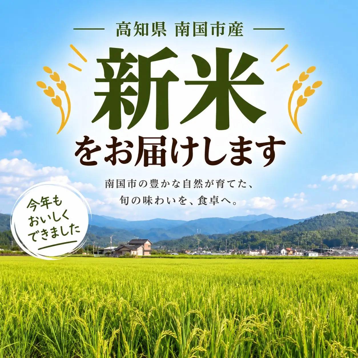新米 令和8年産 玄米 コシヒカリ 5㎏ 数量限定 | 高知県 南国市 コシヒカリ 5キロ
