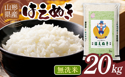 【10月発送】令和7年度 山形県産 はえぬき 20kg 白米 無洗米 ご飯 ごはん 時短 節水 国産 ブランド米 食品 山形県 西川町 月山 FYN1-347