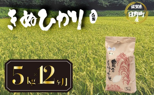 【 令和8年産 米 5kg 定期便 12ヶ月 】 きぬひかり 米 白米 国産 滋賀県 日野町 農家直送 お米 おこめ こめ 産地直送 ふるさと納税