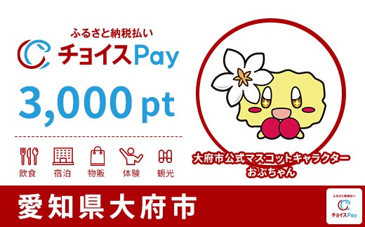 
                  大府市チョイスPay 3,000pt【会員限定のお礼の品】
                